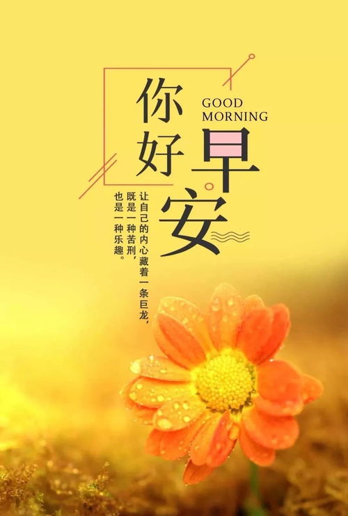 晚間,句子,語句,能量