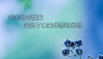 關(guān)于堅(jiān)持的正能量句子,正能量?jī)?yōu)秀句子,正能量滿(mǎn)滿(mǎn)的勵(lì)志句子