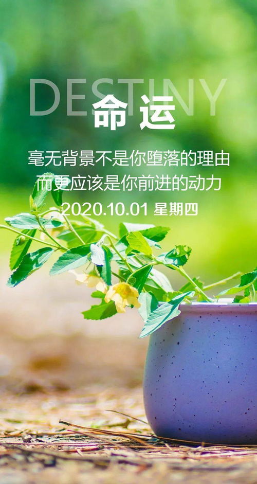 中秋節(jié)發(fā)朋友圈的祝福,中秋節(jié)晚上發(fā)朋友圈的正能量,正能量中秋節(jié)祝福詞