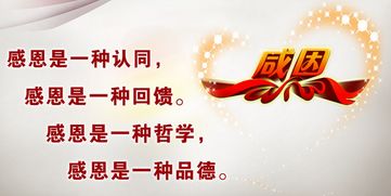 句子,感恩,能量,平臺(tái)