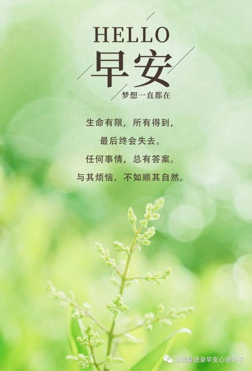 周末愉快的正能量句子,愉快開心正能量的句子,關(guān)于堅持的正能量句子