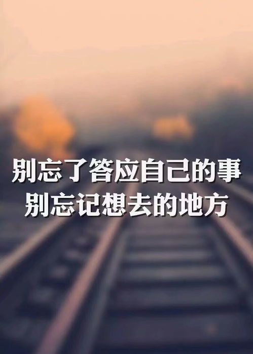 微信朋友圈正能量的句子,微信正能量勵志的句子,微信說說正能量的句子