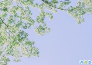 正能量調(diào)皮句子