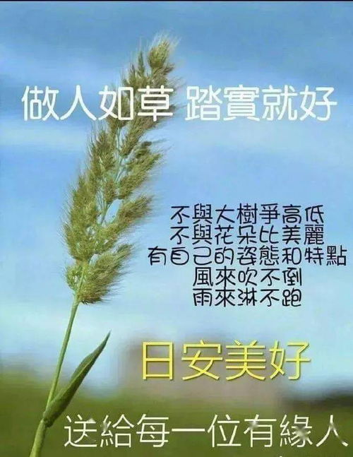 早安,句子,勵(lì)志,能量