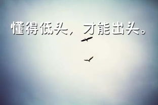 有關工作正能量早安的句子