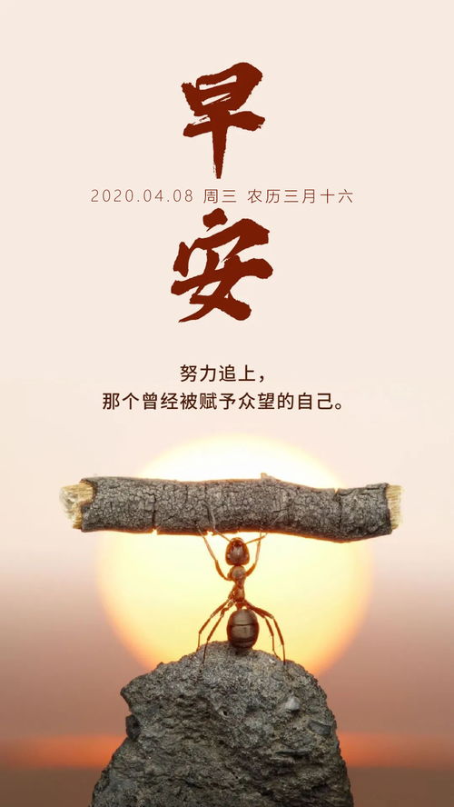 星期三語錄正能量句子