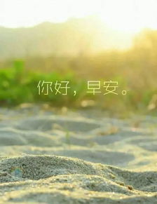 新的一天正能量句子早安勵志心語大全,新的一天新的開始正能量句子早安,新的一天充滿陽光正能量的句子