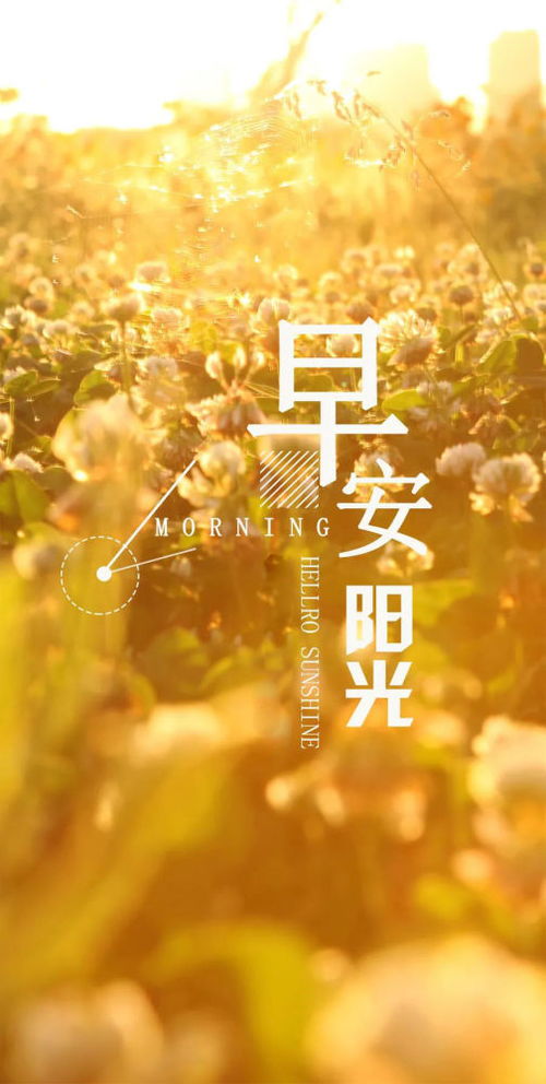 早上開心正能量的句子簡短,早上開心正能量的句子朋友圈發(fā),早上開心幽默正能量的句子