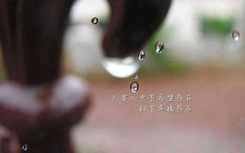 感恩的正能量句子經(jīng)典語錄