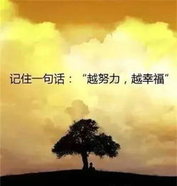 傳遞正能量的工作精美句子