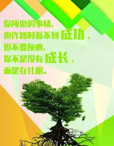 宣揚(yáng)煤礦企業(yè)正能量的優(yōu)美句子