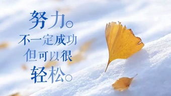 最新早安心語正能量句子