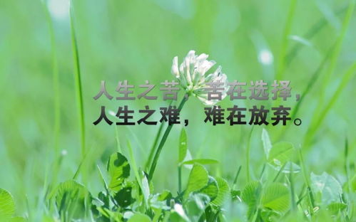句子,激勵,能量,人生