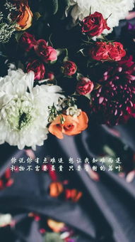 句子,能量,清新