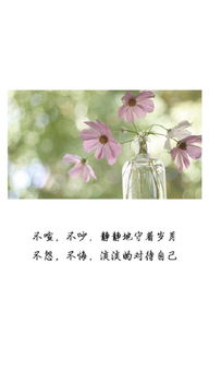 小清新正能量句子,清新正能量的句子,網(wǎng)紅小清新句子簡短正能量