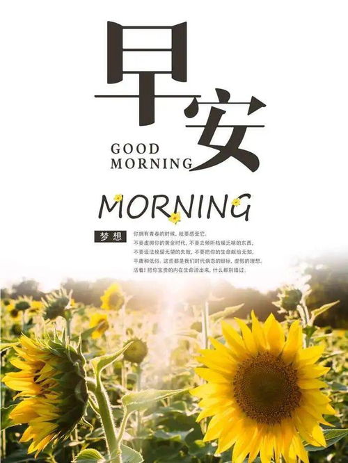 早安充滿正能量的句子10個字