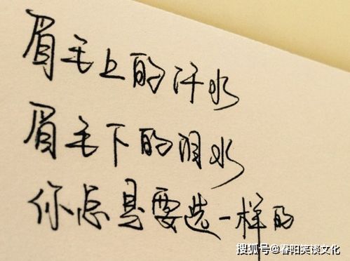 句子,勵(lì)志,能量,心情
