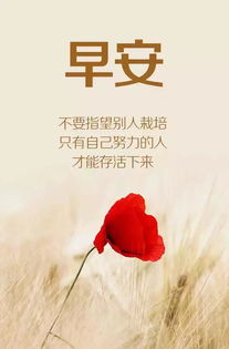 蘊含正能量的哲理句子