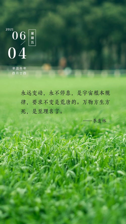 早上陽光的句子正能量,早上充滿正能量陽光的句子,迎著陽光的正能量句子