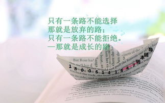 正能量溫暖的句子