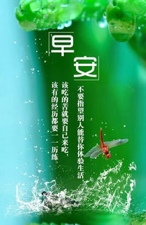 放下過去活在當(dāng)下的正能量句子,放下的正能量句子,放下浮躁正能量句子