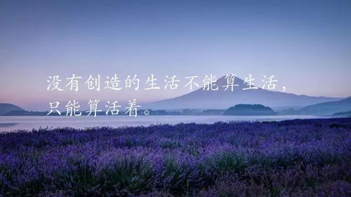 2021新年勵(lì)志正能量的句子,2021勵(lì)志奮斗正能量句子,2021早安正能量句子勵(lì)志