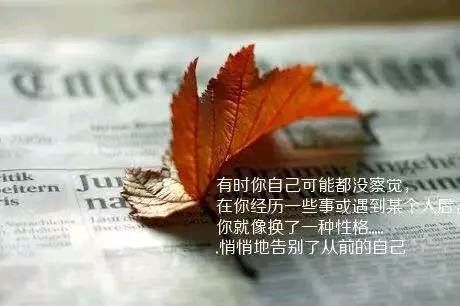 生活積極陽光正能量的句子,積極陽光充滿正能量的句子,女人積極陽光正能量的句子