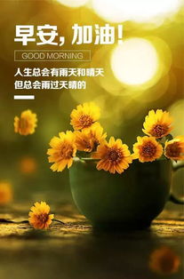 正能量短句子十字以內(nèi)加解釋