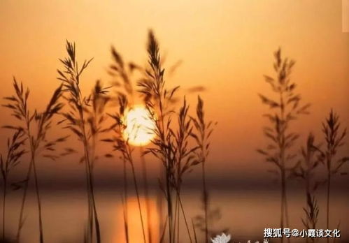 遇到挫折困難正能量句子,遇到挫折時(shí)正能量的句子,工作中遇到挫折的正能量文章