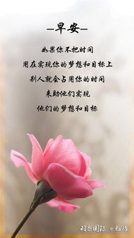 周六早安心語正能量句子