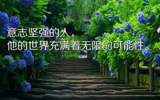 工作勵(lì)志的句子英語(yǔ)正能量