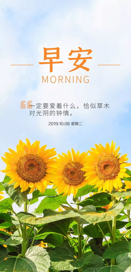 早安,句子,心語,能量