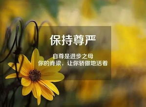 早安,句子,心語,朋友圈