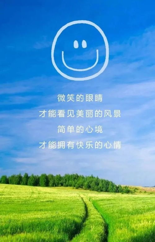 關于堅持的正能量句子,正能量滿滿的勵志句子,懂得感恩的正能量句子