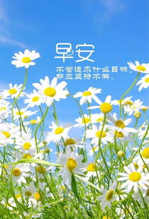 早安,句子,心語,語錄