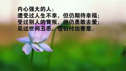有關(guān)工作的正能量短句子