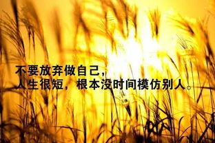 工作心靈雞湯正能量短句子,晚安的心靈雞湯句子正能量,工作正能量句子勵(lì)志短句子心靈雞湯