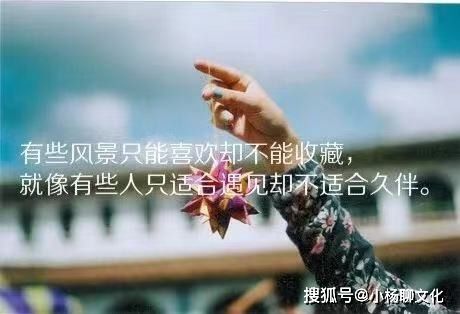 關于寶媽正能量的句子,觸動寶媽正能量心酸的句子,寶媽正能量簡短的句子