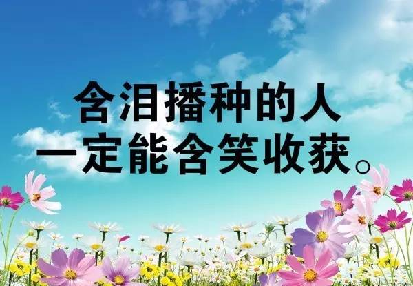 激勵班級正能量的句子,班級積極向上正能量的句子,班級團(tuán)隊(duì)精神正能量的句子
