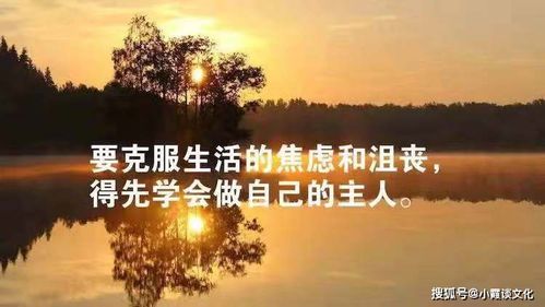 句子,能量,話語,男人