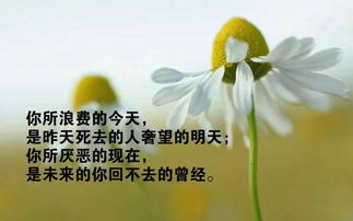 句子,朋友圈,能量,女人