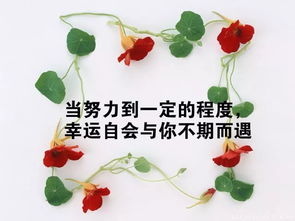 關(guān)于國(guó)家正能量的句子