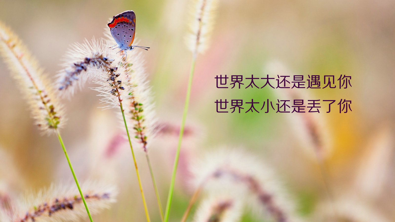 開心正能量的句子說(shuō)說(shuō)心情,夫妻正能量句子說(shuō)說(shuō)心情,心情好正能量的句子說(shuō)說(shuō)心情