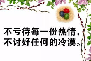 句子,能量,雞血正