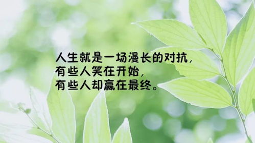 正能量勵(lì)志發(fā)圈的句子