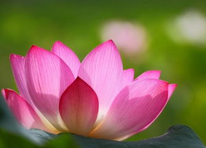 正能量句子勵(lì)志短句子,正能量小短句子,正能量短句子十字以內(nèi)