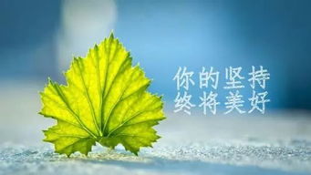 正能量微笑的句子簡短