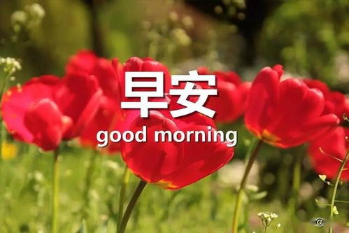 工作正能量的早安句子說說心情短語