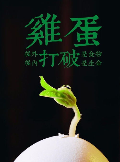 一切都會好起來正能量的句子
