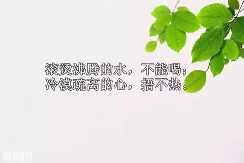關于正能量雞湯的句子